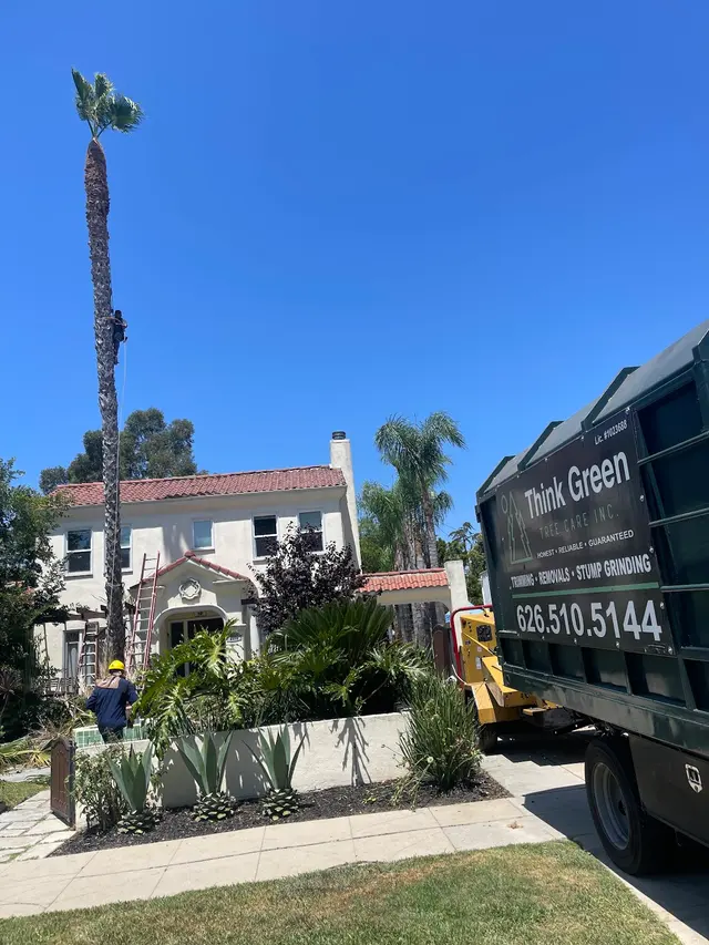 Think Green Tree Care Inc. — photo from the business 6