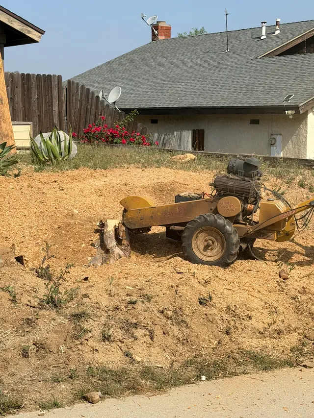 Specialty Tree Care Inc. — customer photo 4