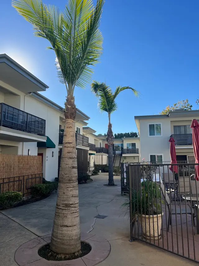 Specialty Tree Care Inc. — photo from the business 9