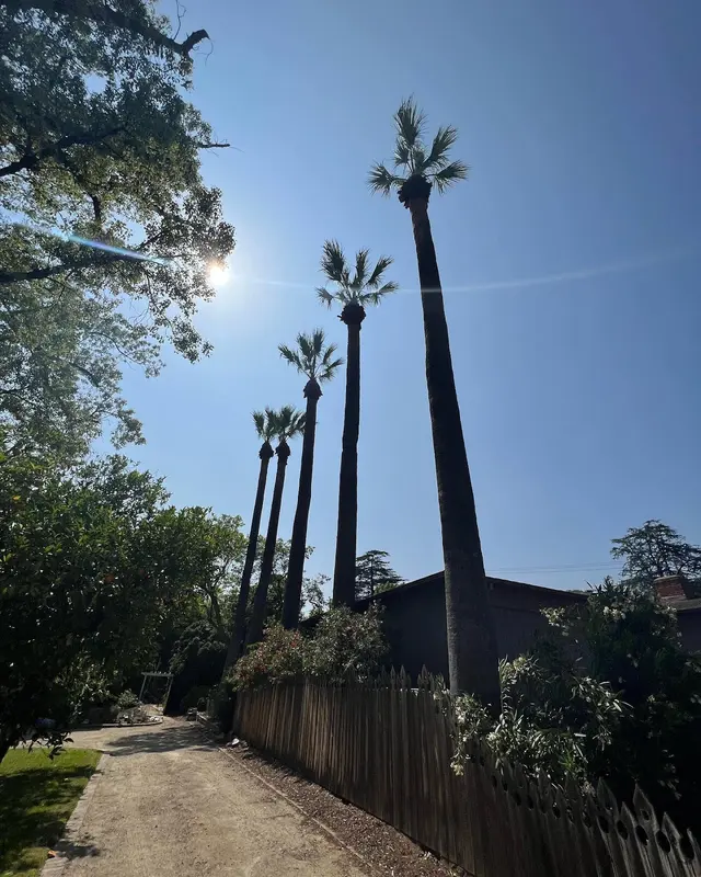 Specialty Tree Care Inc. — photo from the business 5