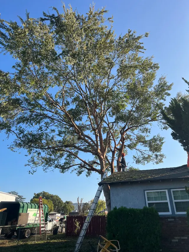 Specialty Tree Care Inc. — photo from the business 2