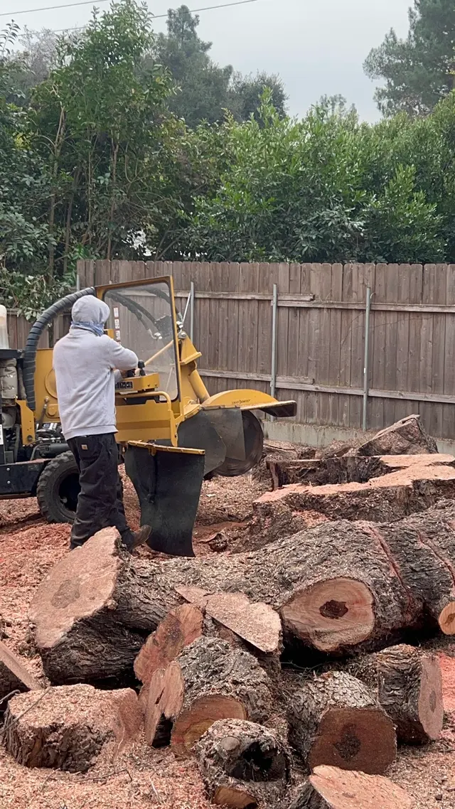 Specialty Tree Care Inc. — photo from the business 7