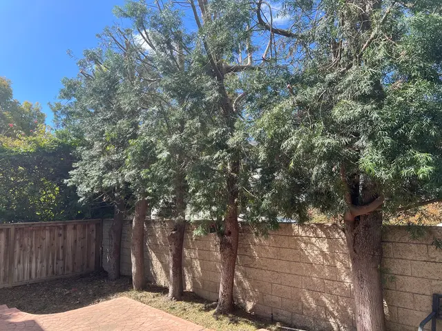 A & J Tree Service — customer photo 8
