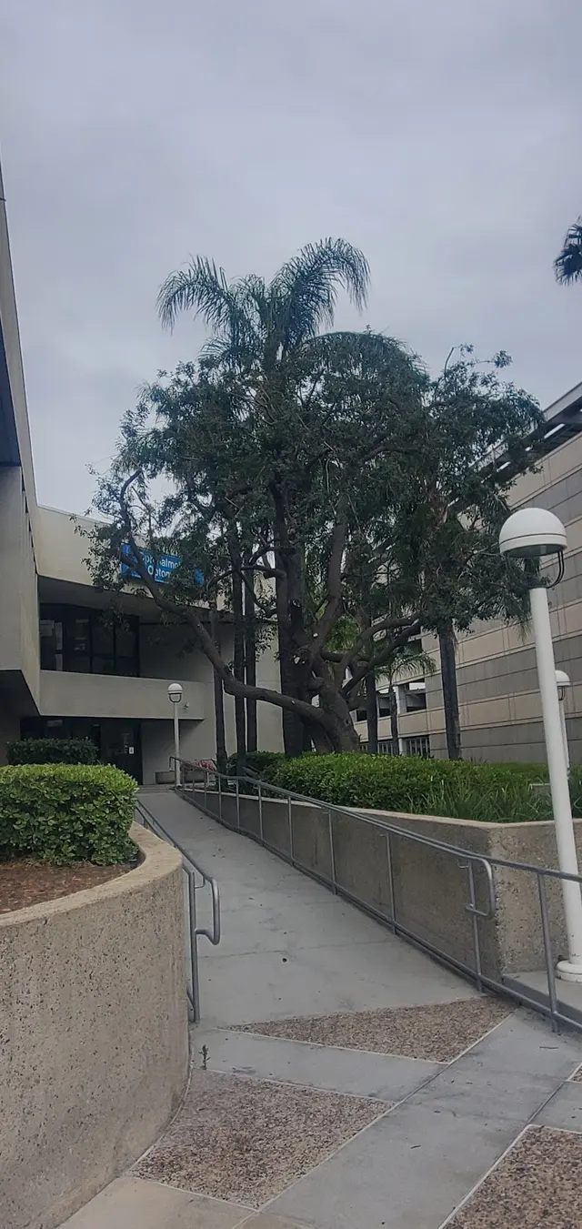A & J Tree Service — photo from the business 11