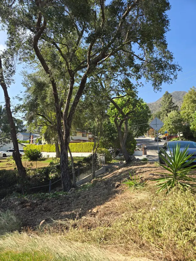 A & J Tree Service — customer photo 2