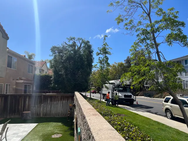 A & J Tree Service — customer photo 5