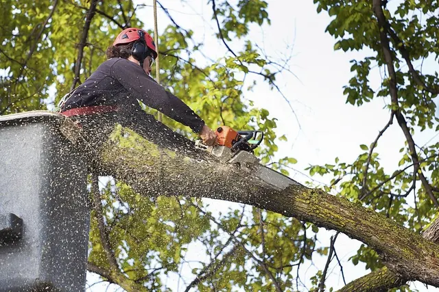 A & J Tree Service — photo from the business 9