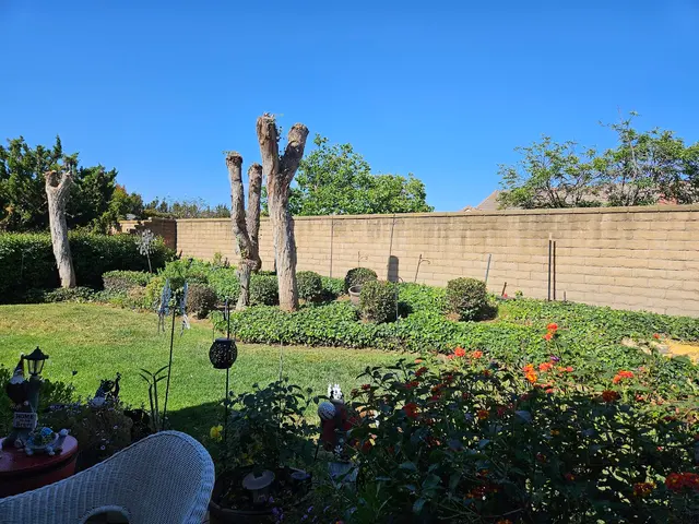Customer photo of work by A & J Tree Service, from Nancy Matthews's review