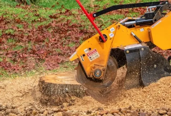 A & J Tree Service — photo from the business 10