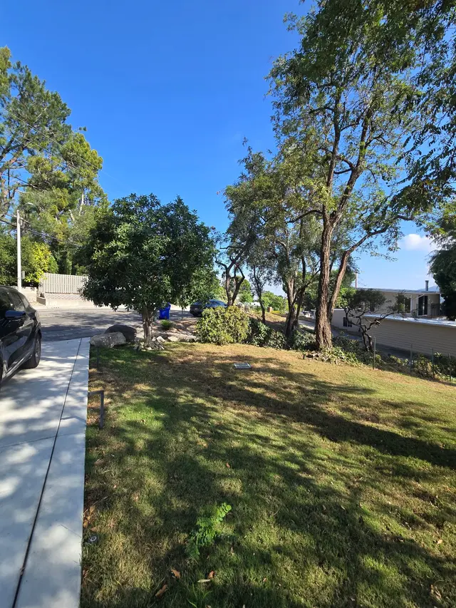 Customer photo of work by A & J Tree Service, from Hyunhee Choi's review