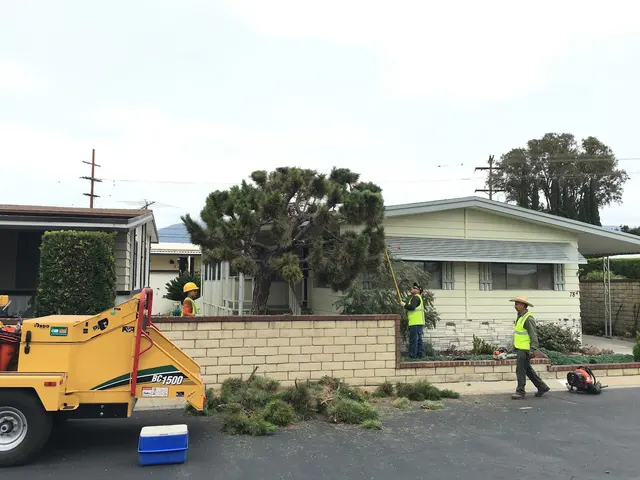 H & E Tree Service — photo from the business 10