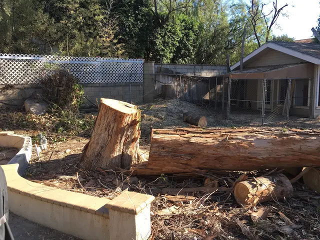 H & E Tree Service — photo from the business 3