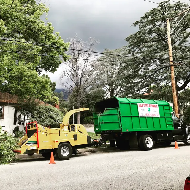 H & E Tree Service — photo from the business 1