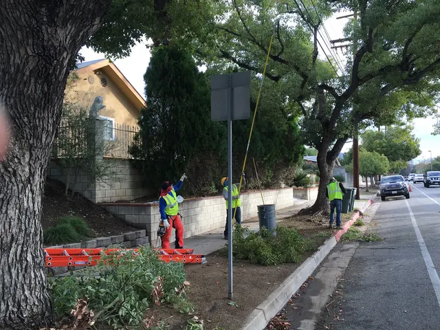 H & E Tree Service — photo from the business 8