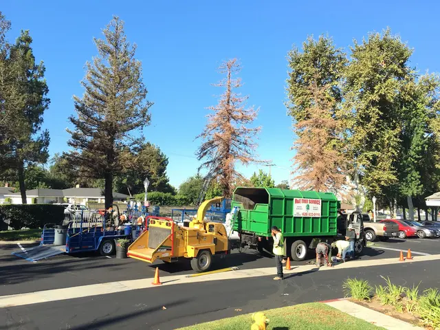 H & E Tree Service — photo from the business 2