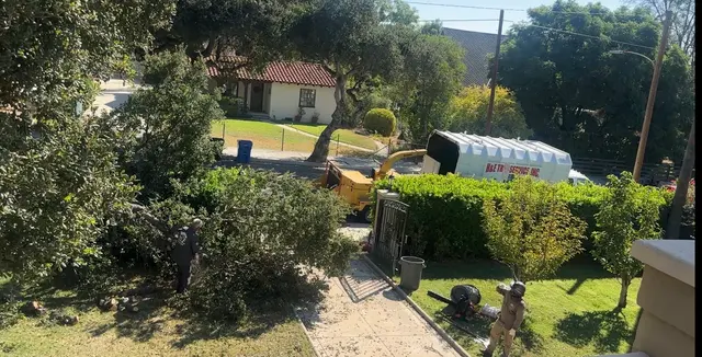 Customer photo of work by H & E Tree Service, from Amy Yan's review