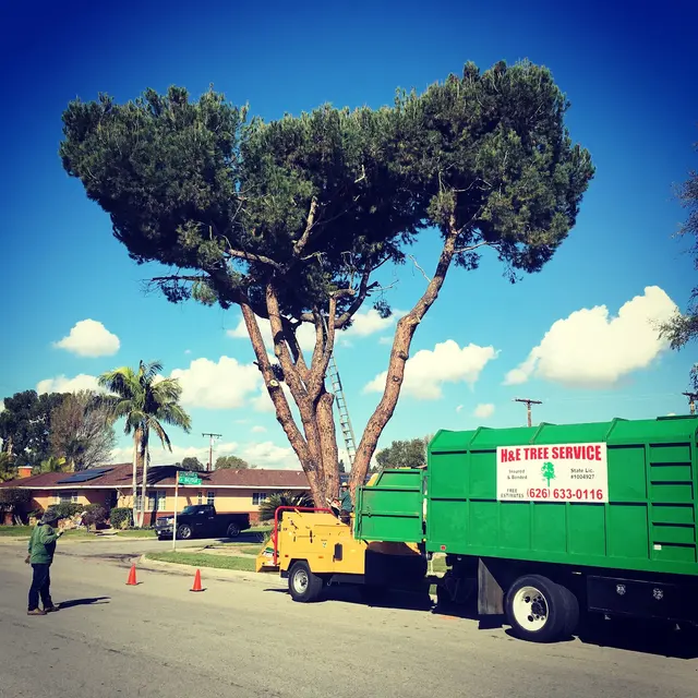 H & E Tree Service — photo from the business 9
