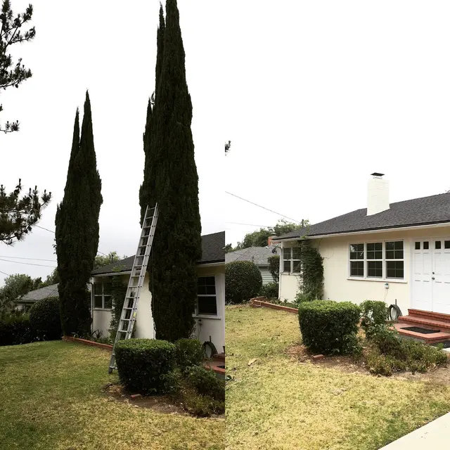 H & E Tree Service — photo from the business 11