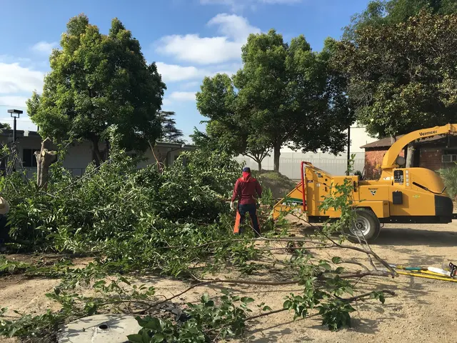 H & E Tree Service — photo from the business 6