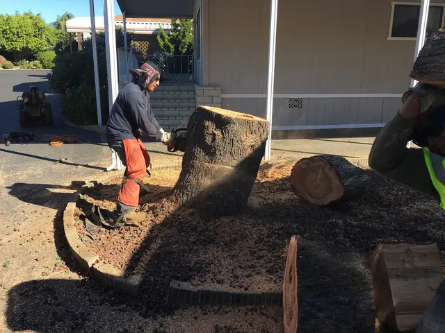 H & E Tree Service — photo from the business 7