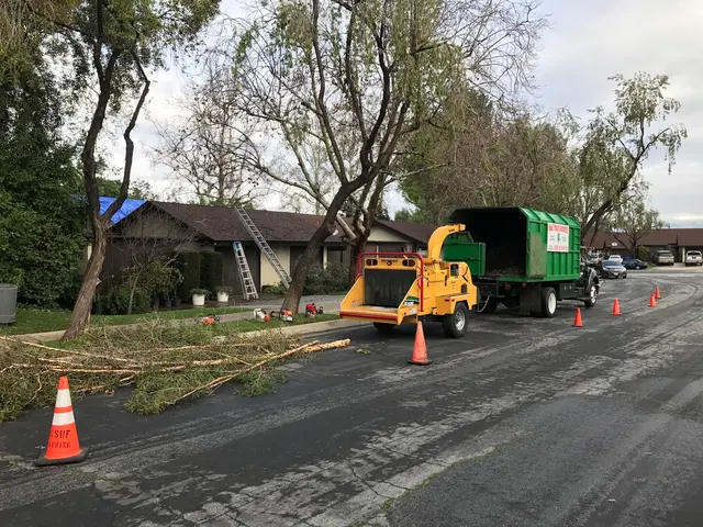 H & E Tree Service — photo from the business 12
