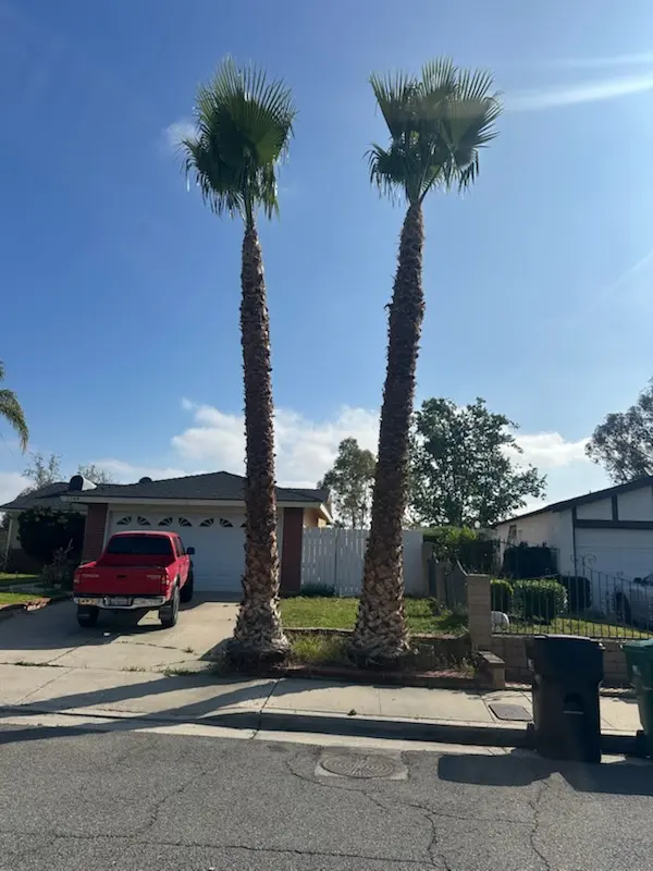 Rivera Tree Service, Inc. — customer photo 11