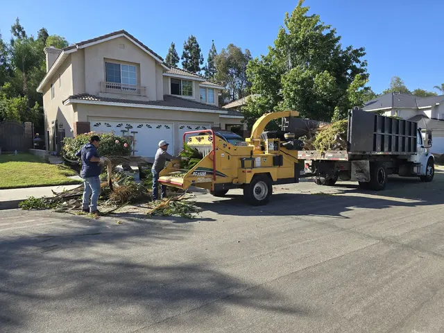DB Tree Service — photo from the business 2