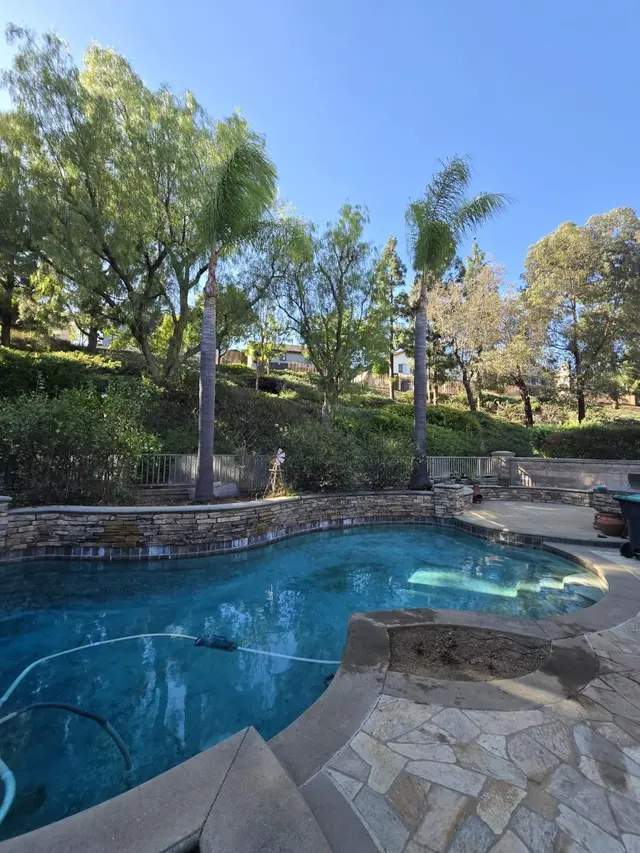 Customer photo of work by DB Tree Service, from Tricia Acciani's review