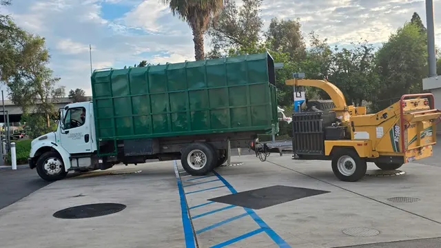DB Tree Service — photo from the business 1