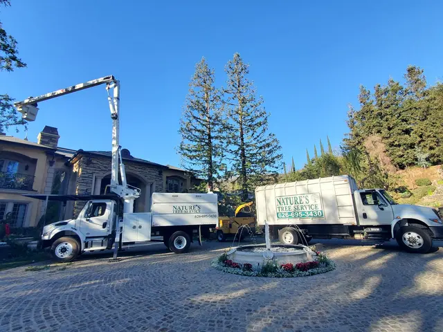 Nature's Tree Service — photo from the business 3