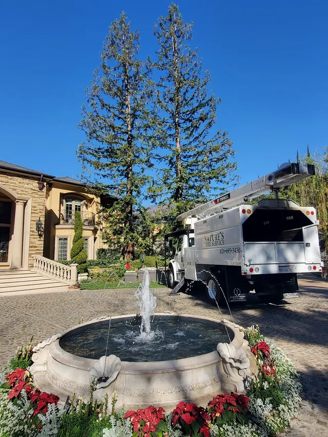Nature's Tree Service — photo from the business 10