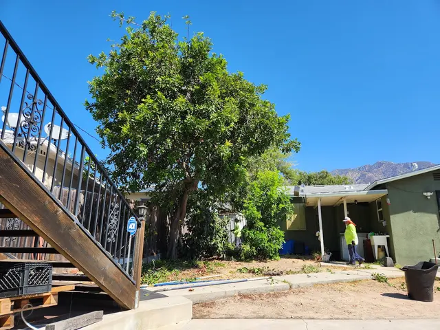 Nature's Tree Service — customer photo 12