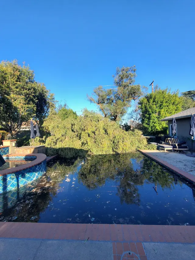 Nature's Tree Service — photo from the business 8