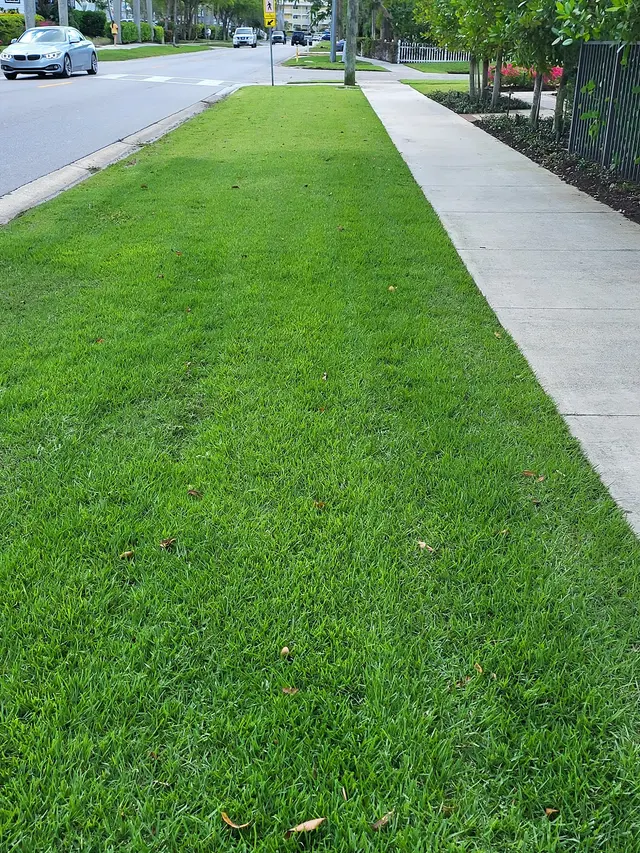 Crews Complete Pest Solutions — photo from the business 11
