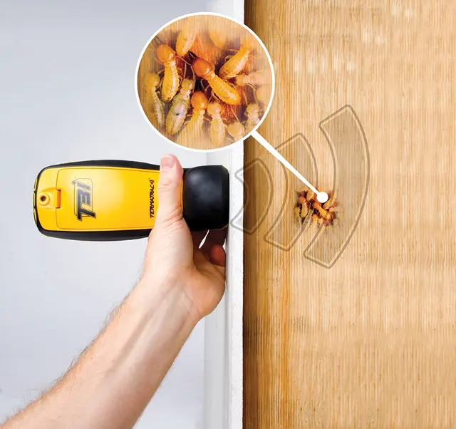 Certified Pest Control — photo from the business 8