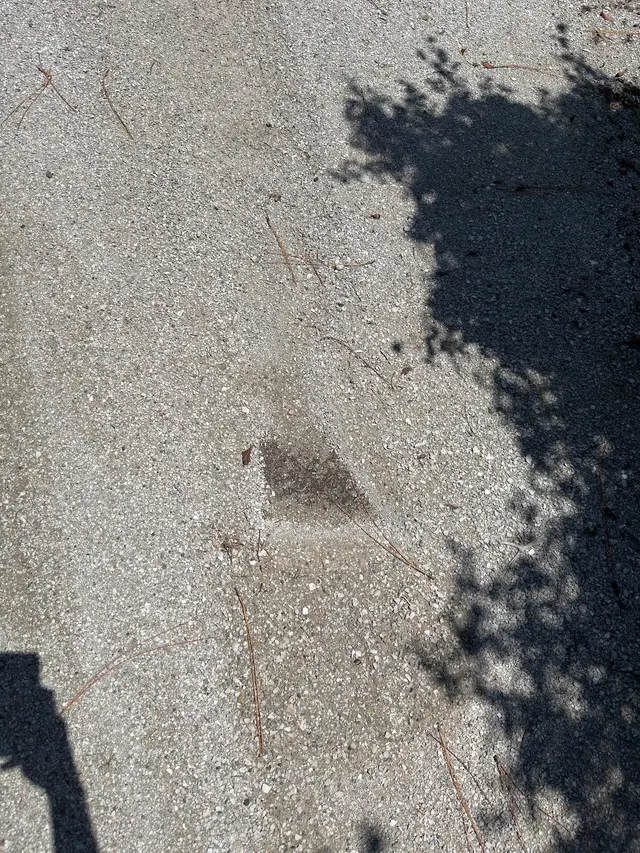 Certified Pest Control — customer photo 9