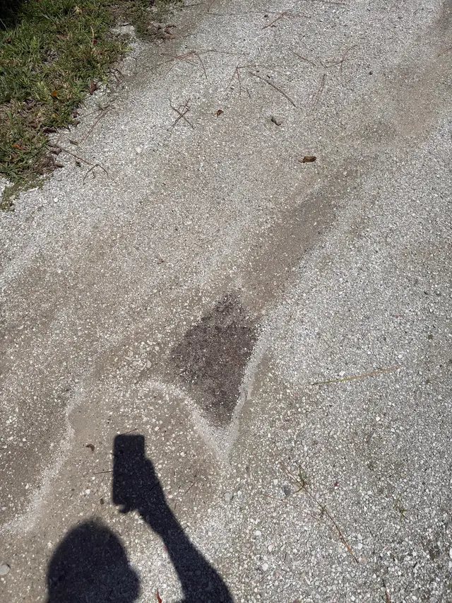 Customer photo of work by Certified Pest Control, from Scott Wolf's review