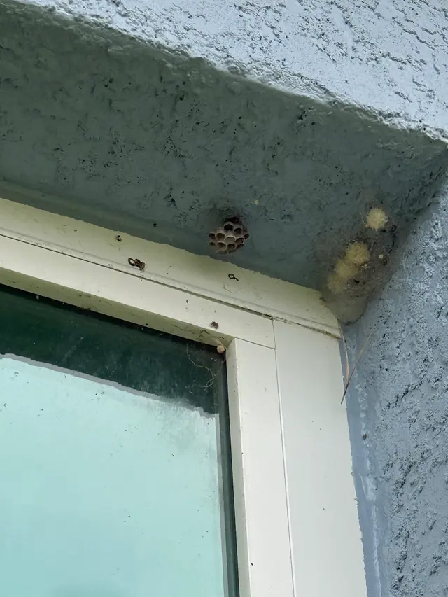 Bugs Patrol LLC Pest Control — customer photo 9