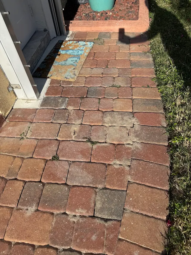 Bugs Patrol LLC Pest Control — customer photo 7