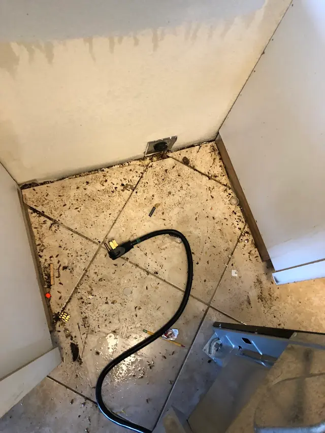 Bugs Patrol LLC Pest Control — customer photo 8