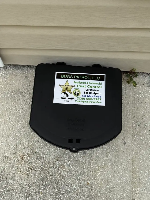 Bugs Patrol LLC Pest Control — customer photo 4