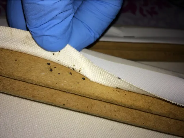 Bugs Patrol LLC Pest Control — customer photo 12