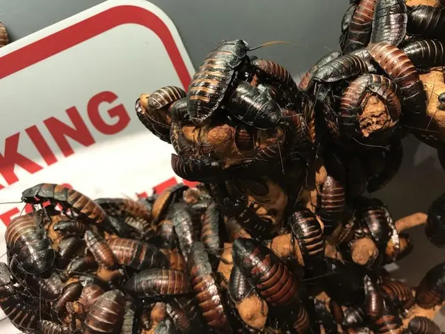 Infinite Pest Solutions — photo from the business 10
