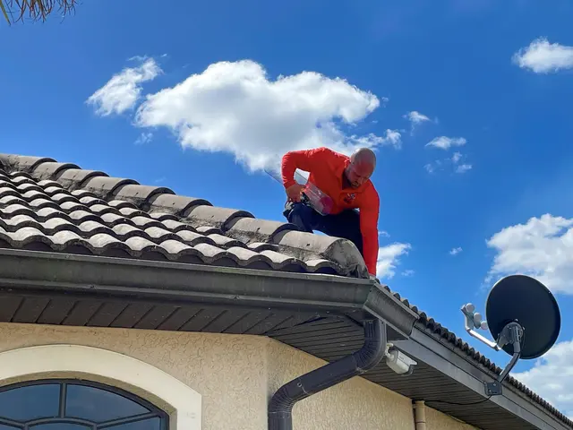 All U Need Pest Control — photo from the business 10