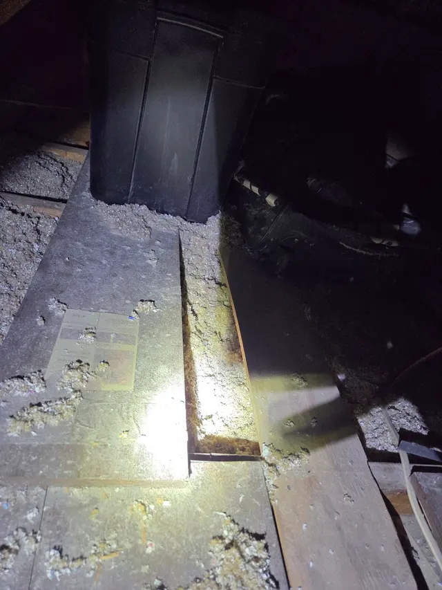 All U Need Pest Control — customer photo 12
