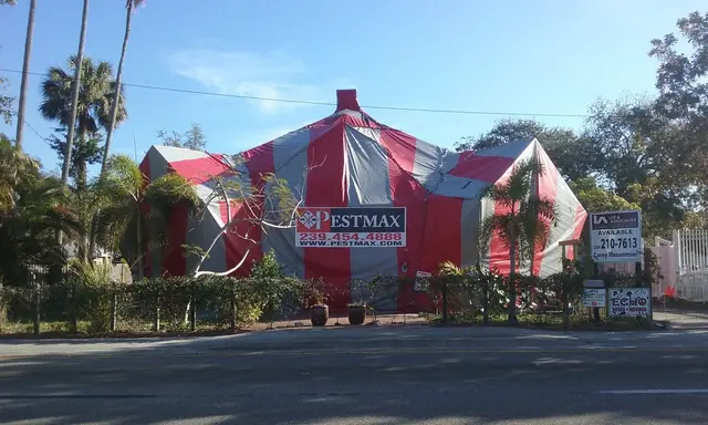 PestMax Control Solutions — customer photo 2