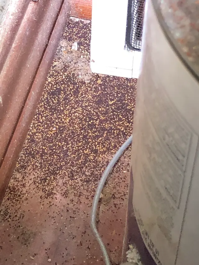 PestMax Control Solutions — photo from the business 8