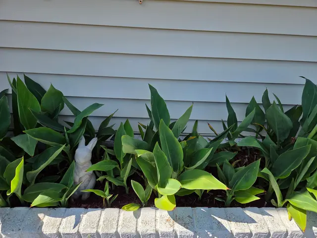 Customer photo of work by Stat Pest Control, from April Schwartz's review