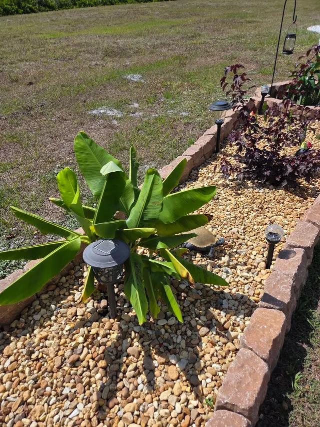Customer photo of work by Stat Pest Control, from April Schwartz's review