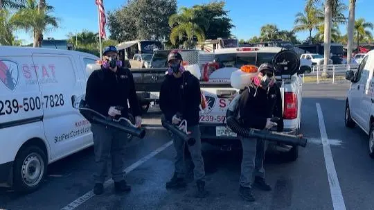 Stat Pest Control — photo from the business 1
